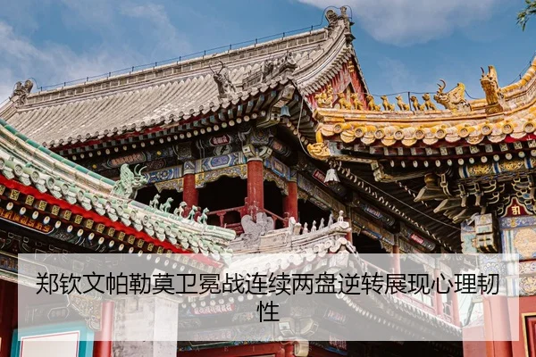 zheng-qin-wen-pa-lei-mo-wei-mian-zhan-lian-xu-liang-pan-ni-zhuan-zhan-xian-xin-li-ren-xing-3-140.jpg