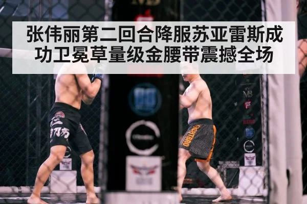 MMA cage fight
